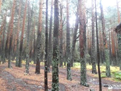 Bola del Mundo desde La Barranca por el Collado del Piornal y la Cuerda de las Cabrillas; senderismo